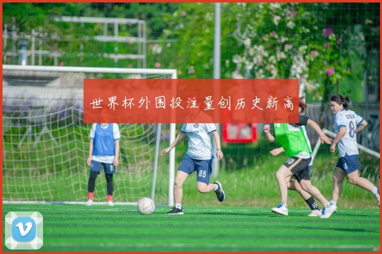 世界杯外围投注量创历史新高