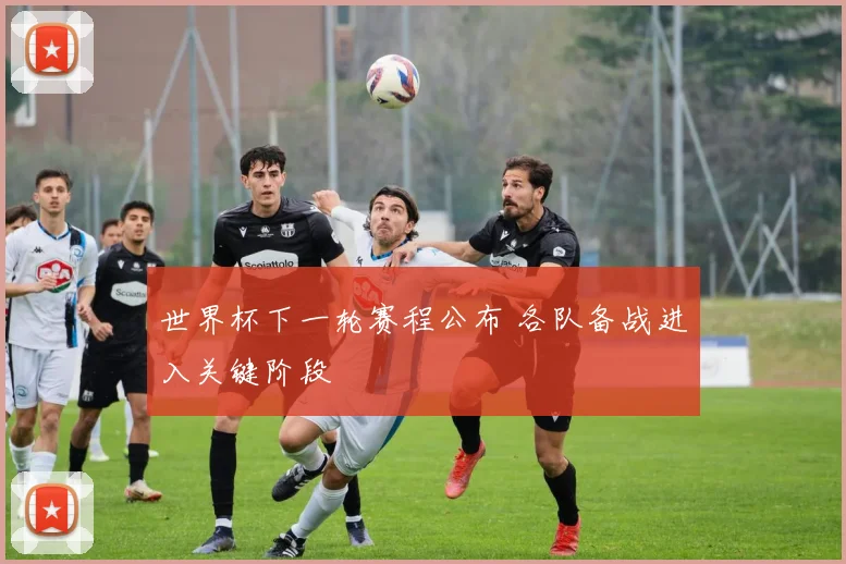 世界杯下一轮赛程公布 各队备战进入关键阶段