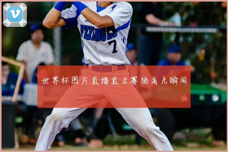 世界杯图片直播直击赛场高光瞬间
